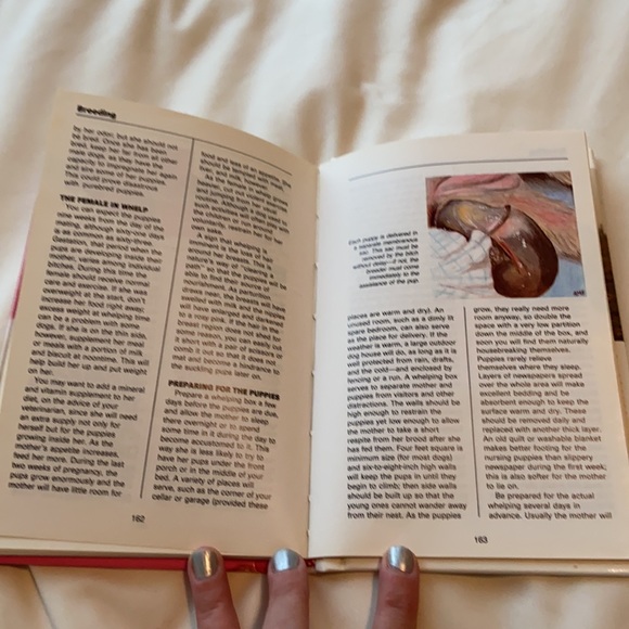 🛍 SAMOYEDS Vintage 1990 Pet Dog Puppy Care Book by Joyce Reynaud • Samoyed - Picture 10 of 11